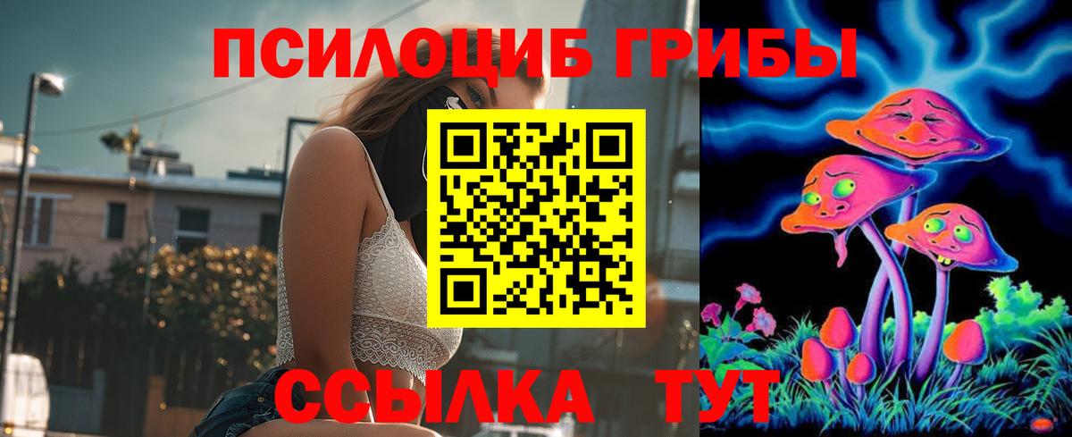 Наро-Фоминск  Галлюциногенные грибы GOLDEN TEACHER  Вход с VPN 